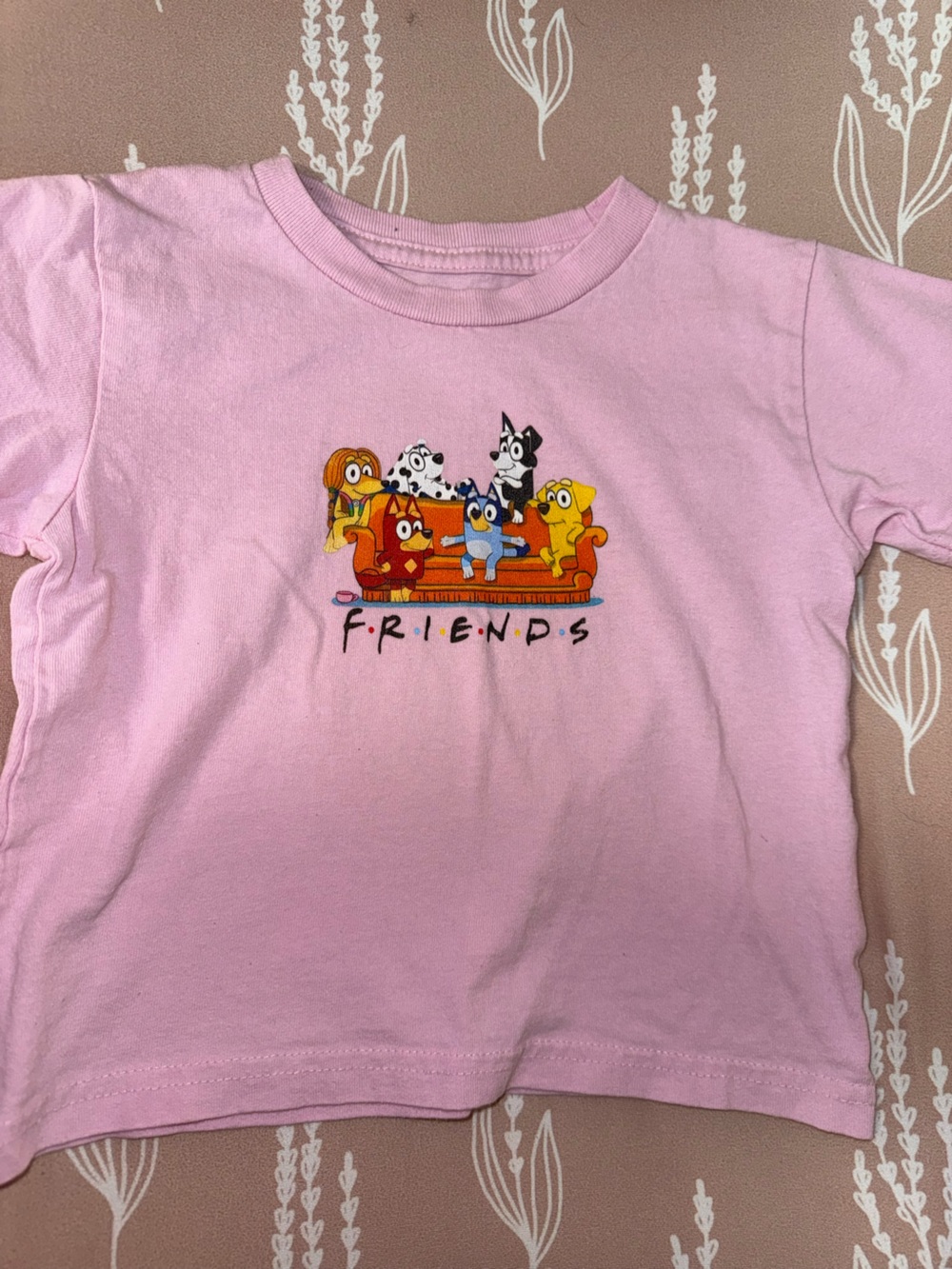 BlueyxFriends graphic tee 🩵🩷